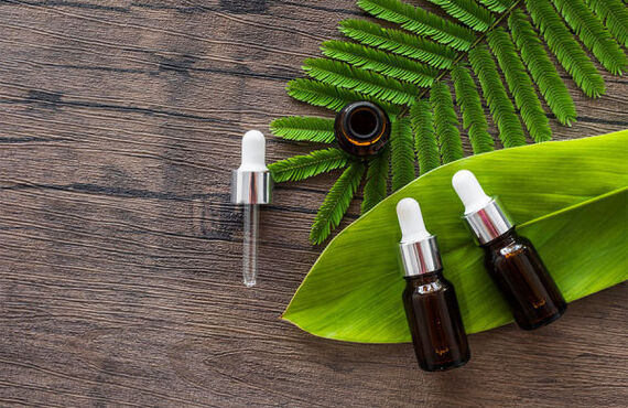 福井市の癒しのサロン　リラクゼーションサロンひまわり