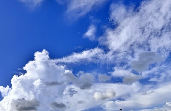 2025.9月キャンペーン｜リラクゼーションサロンひまわり｜福井