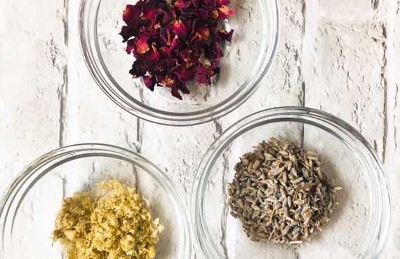 ２０２６．１月今月のおすすめケア｜リラクゼーションサロンひまわり